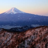 明けましておめでとう御座います
