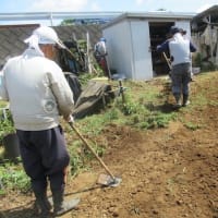 小屋前の凹凸を修正後に防草シート