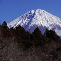 荒々しい富士山（1/22 e）