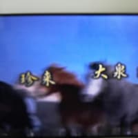 新作どうでしょう【9夜】【10夜】