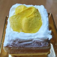 おはようございます。