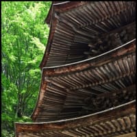 「安楽寺」の 国宝八角三重塔