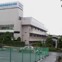 主治医よりインターフェロン投薬中止を告げられる！