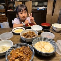 愛車の6カ月点検・孫澪奈の子守り