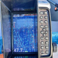 イサキ１０匹の予定でしたが・・・珍魚連発(^O^)／
