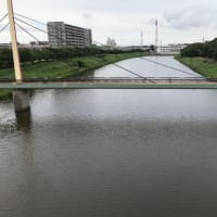 十数年振りに