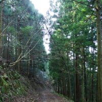 廃村巡りの件