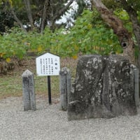 06/22奈良京都への旅-10（明日香村⑤：橘寺訪問、）