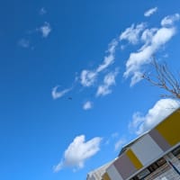 使いこなせない携帯電話
