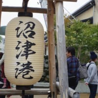 新鮮な魚から雄大なる富士山の旅