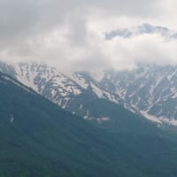 静岡帰郷　２日目