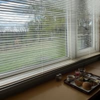 新緑が広がってきています。