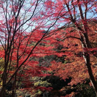 宝塚廃線ハイク