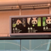 アドベンチャーワールド