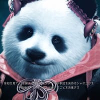 格闘ゲーム　好きな女性キャラ3選