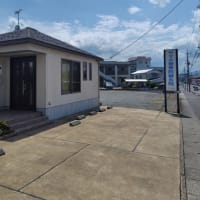 黄色の花壇？がお待ちしています。