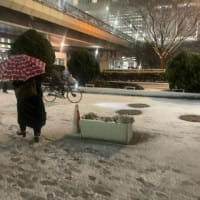 西新宿の雪景色