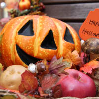 グローバルライフ株式会社 | Global Life　本場の料理でハロウィンを楽しもう🎃