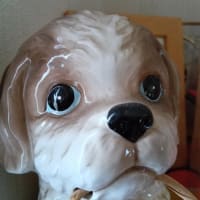 今年もいろいろと・・・