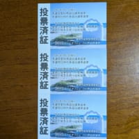 期日前投票に行って来ました