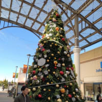 12月14日 休日