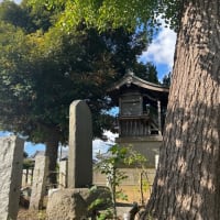 怪無池と青龍神社