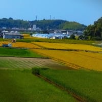 フウちゃんと、めっちゃ怖がらせた台風10号～♪