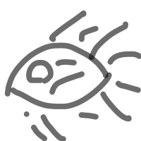 明日のこの時間に何してる 同じようにしていられるか シュレディンガーの時間 どうなるかは誰も知らない 普通は同じ時間のコピーの延長が続いているはず 突然のことは誰もわからないのだ 人生とはそういうもの