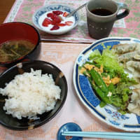 男の作る朝食 No2468 焼き餃子