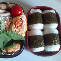 旦那の毎日の弁当、、、だるっ