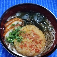 【05/09晩御飯】蒲鉾ワカメ入り天ぷら蕎麦、晩御飯とゆ～より夜食なんだね：P