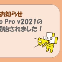 MapInfo Pro v2021販売開始