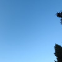 どこを見ても雲なしの空