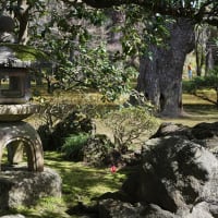 知恵を出して対抗します