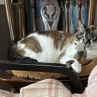 暑くなった～