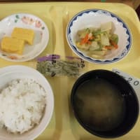 病院食の素晴らしさ