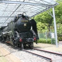 出会えて、とても嬉し、野生リスの姿、ドキドキ眺め　B公園(岐阜県岐阜市)