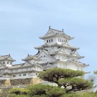旅行