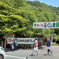 猛暑のハイキングに参加しました！