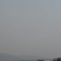ランチは寿司トロへ
