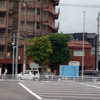 今日はソフトバンクロッテ戦