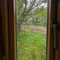 木々に囲まれた川崎町「BLUE COFFEE」で一休み