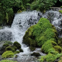 夏のアンヌプリと京極吹き出し公園