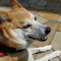 待ち合い