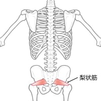 寝起きで腰の下辺りが痛い方はココが原因