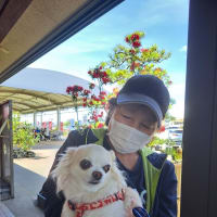 №１５６譲渡会の報告
