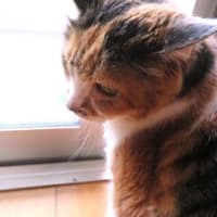 「やっと７月・・・」