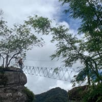 自然旅