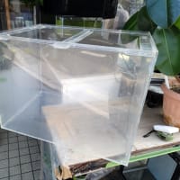 爬虫類などで使用してください
