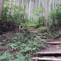 雨模様の平日は、ひっそりと・・・（758回目）